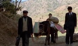 马背法庭在线观看,在线见证司法公正之旅